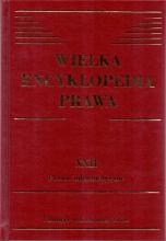 Wielka Encyklopedia Prawa - Tom XXII: Prawo informatyczne