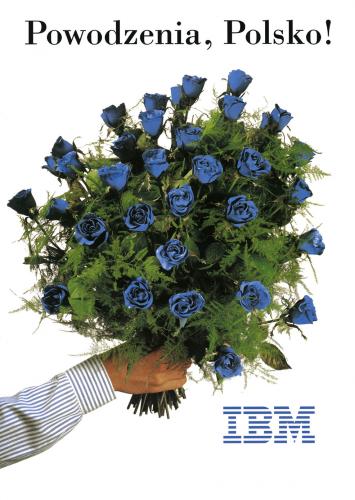 'Bukiet IBM.jpg'