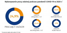 spol_inform._2021-01 praca zdalna 2020.png